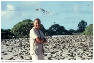 david_attenborough