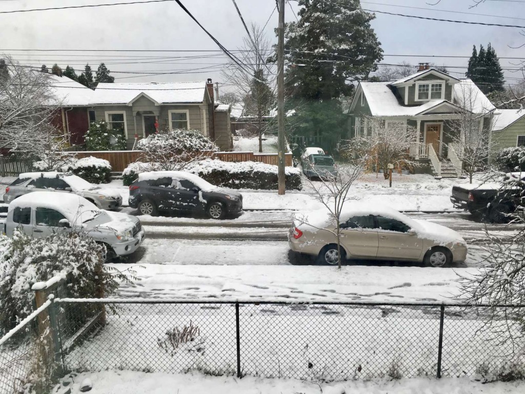 Snowy in Seattle!  (photo by Ivi)